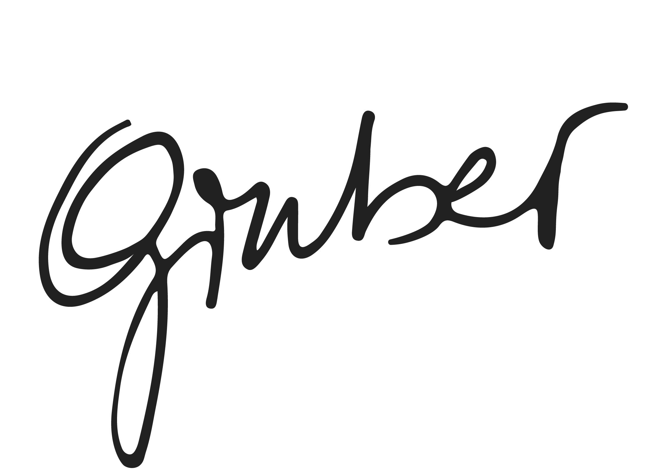 Biohof Gruber Logo grau